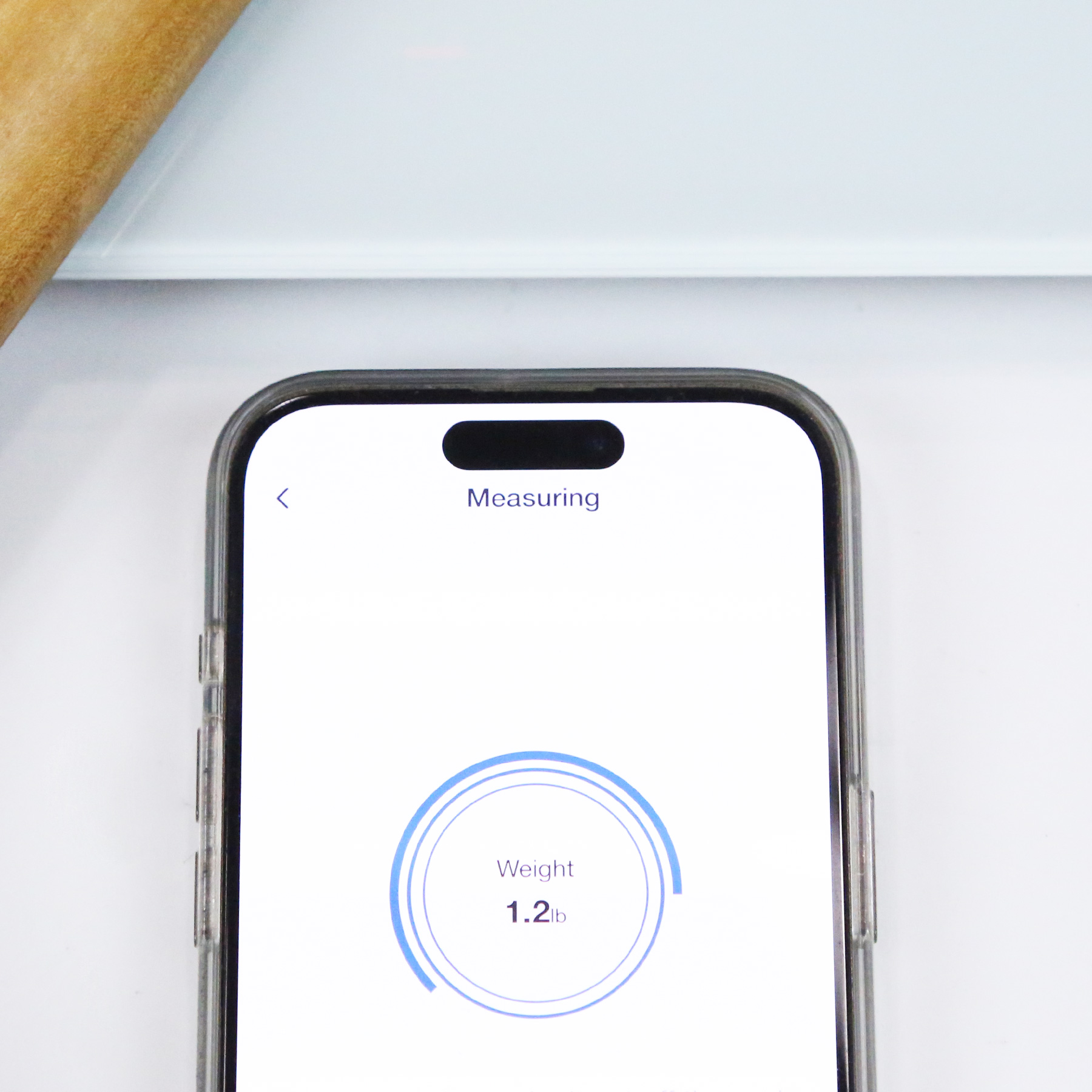 1960s-Fender-Newporter-Acoustic-Guitar-Neck-28