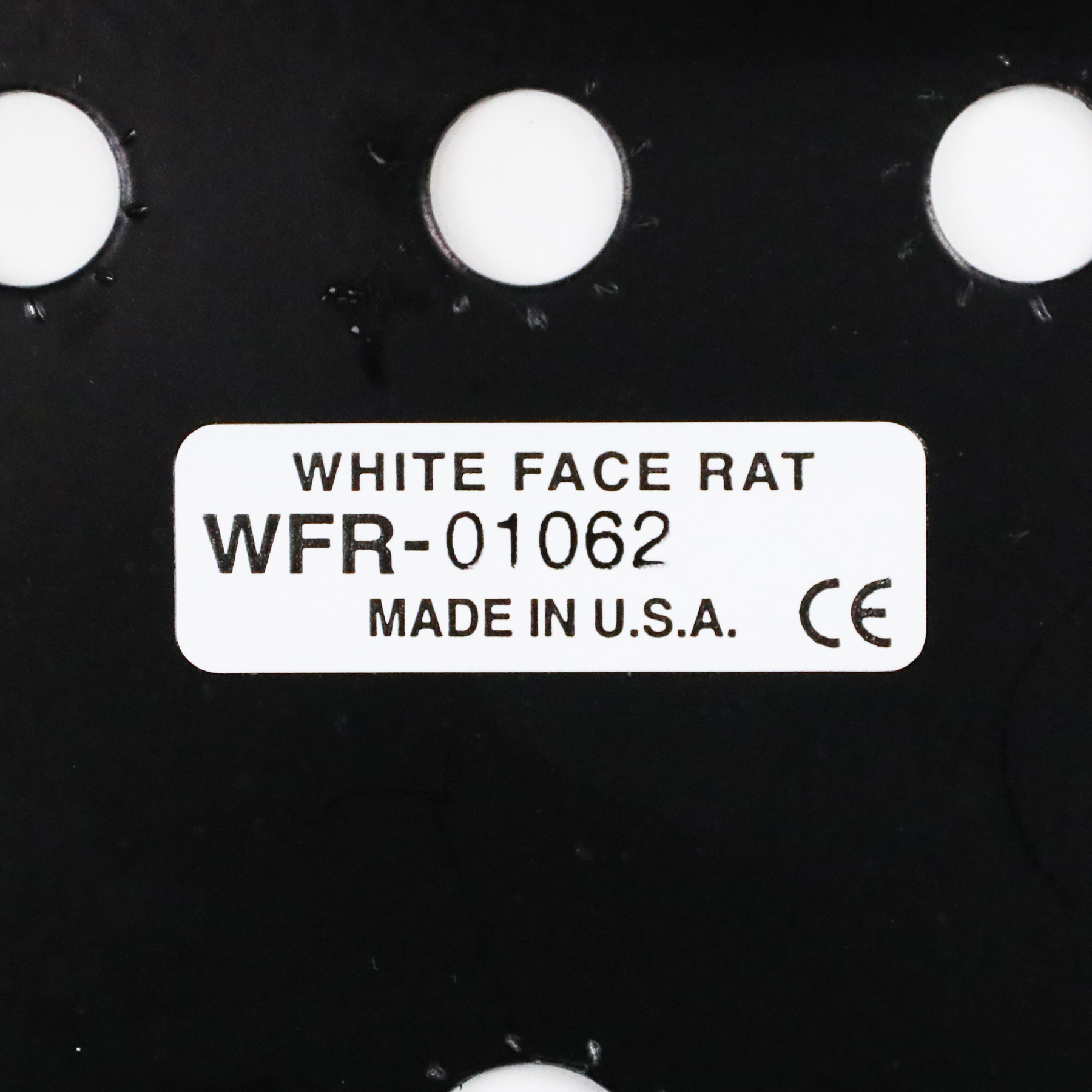 2010-ProCo-White-Face-Rat-WFR01062-12