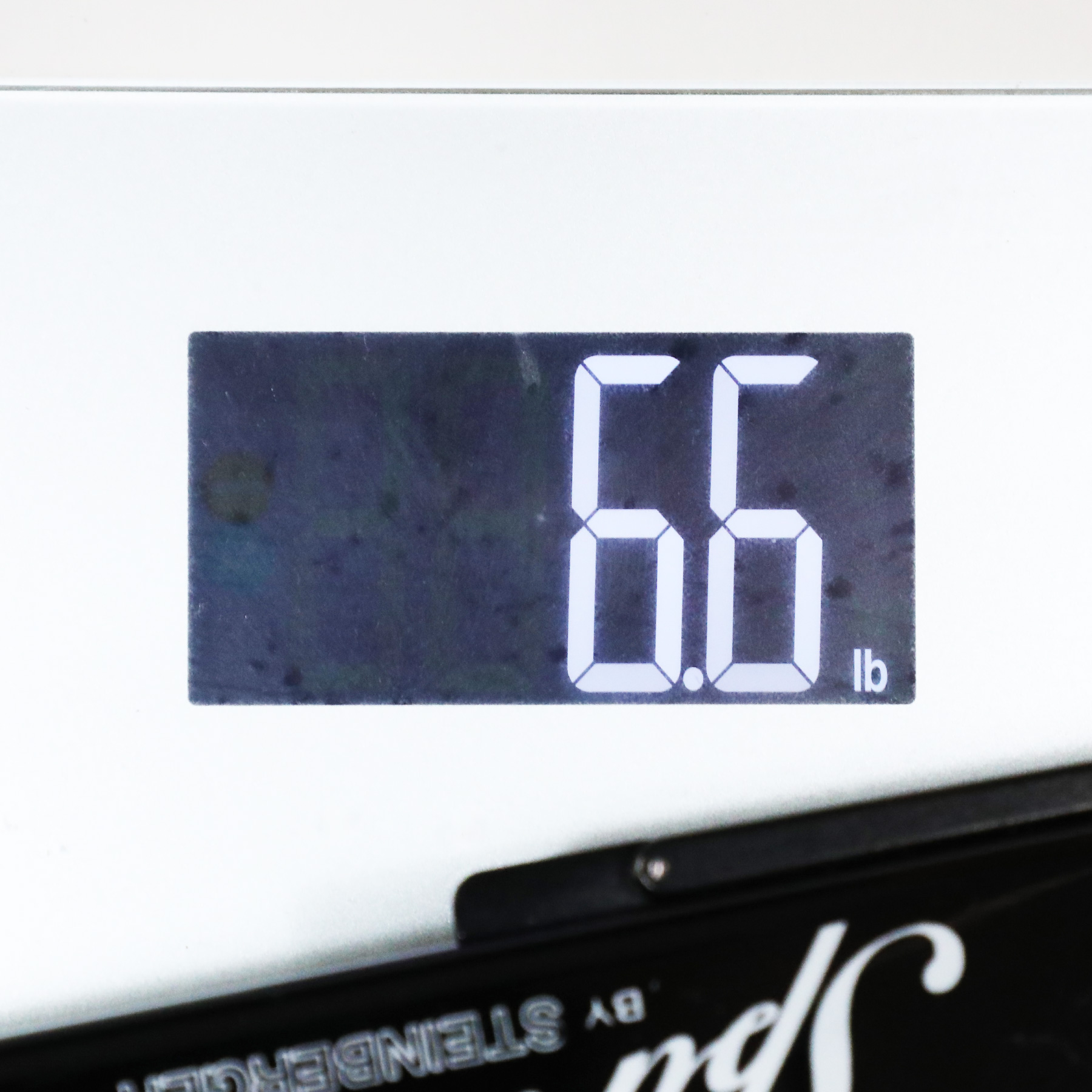 2022-Steinberger-Spirit-Bass-22092352666-37