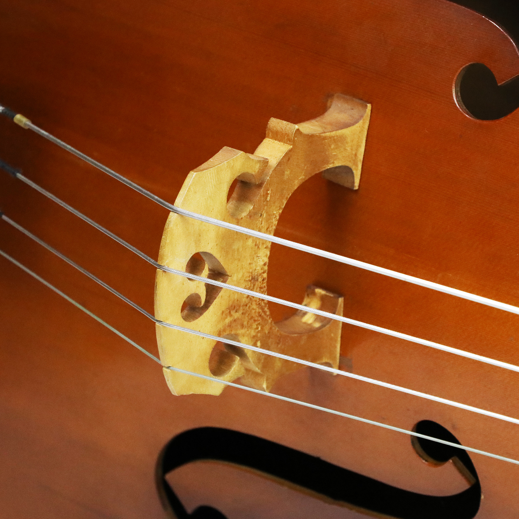 1954-Kay-C-1-Double-Bass-Viol-57428-05